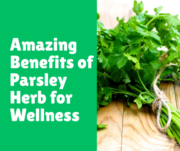 Amazing Benefits of Parsley Herb for Wellness