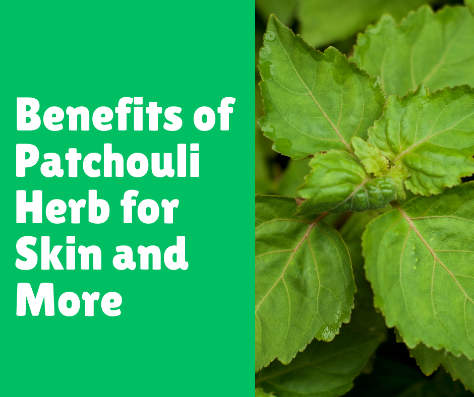 Benefits of Patchouli Herb for Skin and More