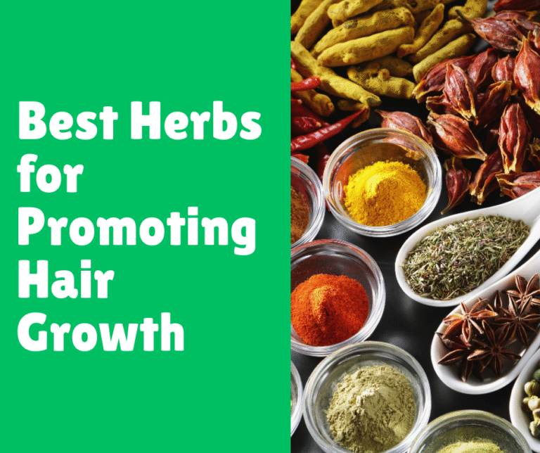 Best Herbs for Promoting Hair Growth