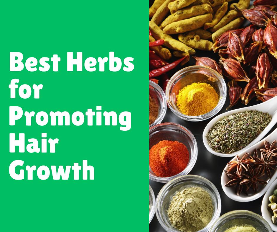 Best Herbs for Promoting Hair Growth