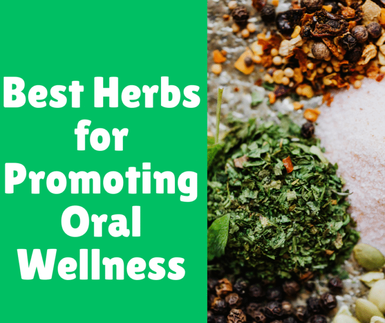 Best Herbs for Promoting Oral Wellness
