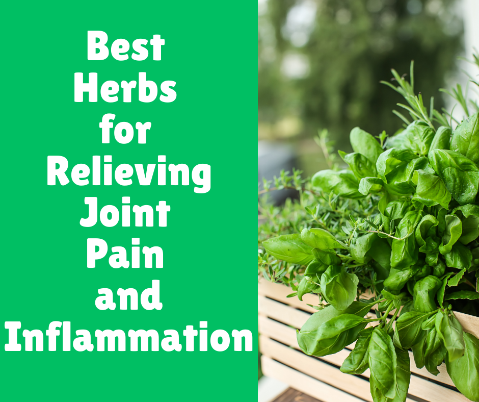 Best Herbs for Relieving Joint Pain and Inflammation