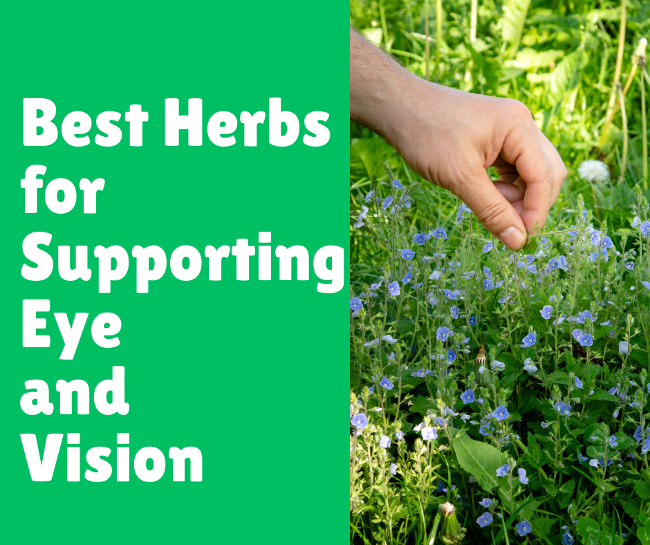 Best Herbs for Supporting Eye and Vision