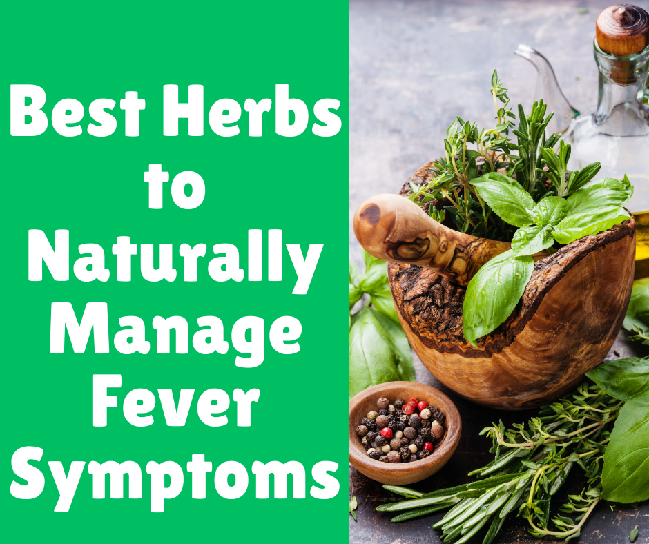 Best Herbs to Naturally Manage Fever Symptoms
