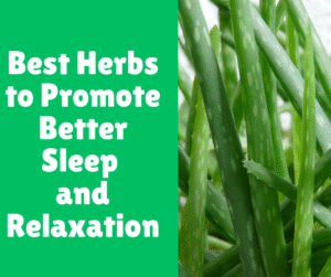 Read more about the article Best Herbs to Promote Better Sleep and Relaxation