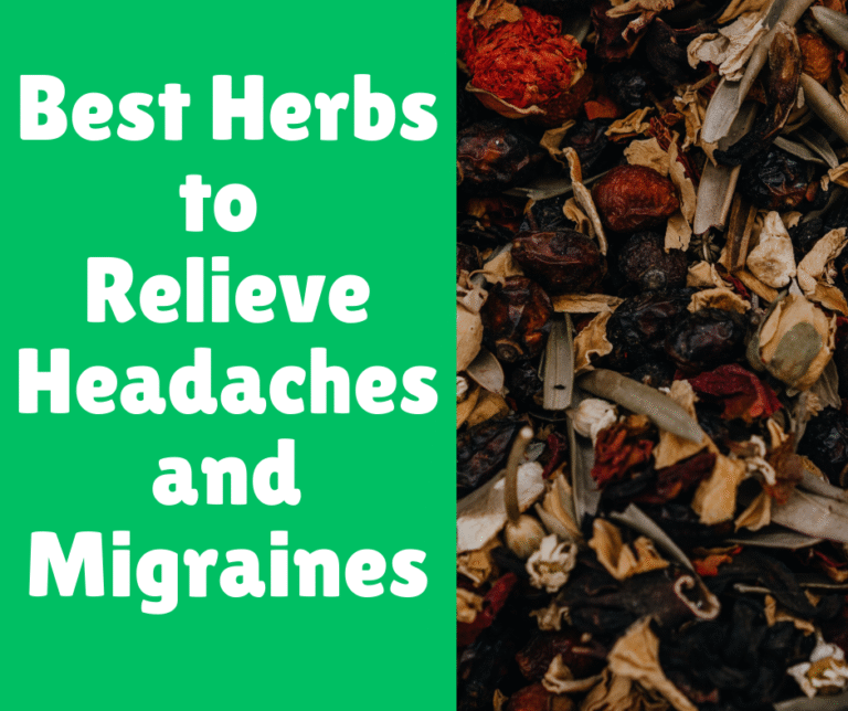 Best Herbs to Relieve Headaches and Migraines