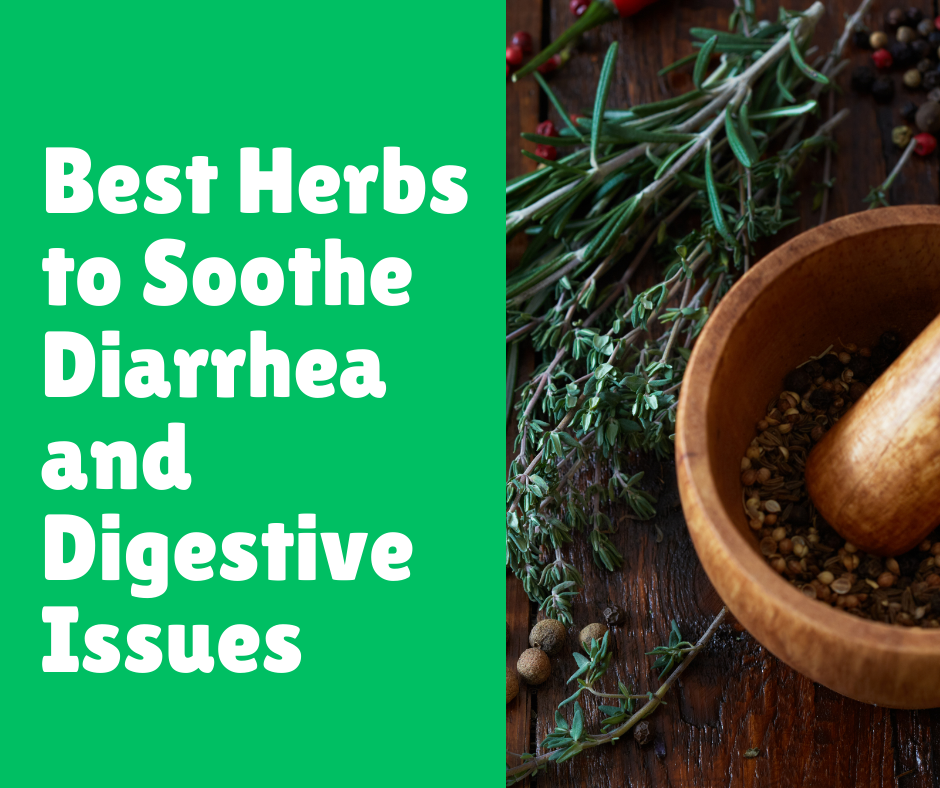 You are currently viewing Best Herbs to Soothe Diarrhea and Digestive Issues