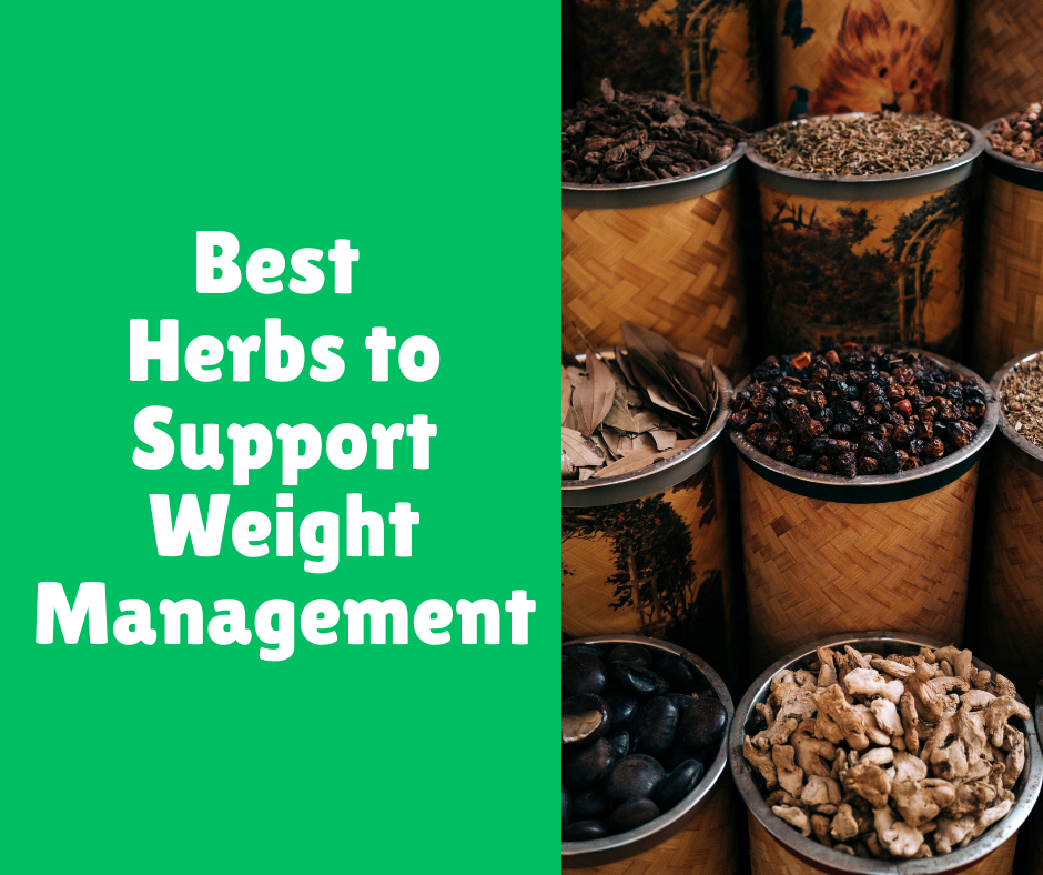Best Herbs to Support Weight Management