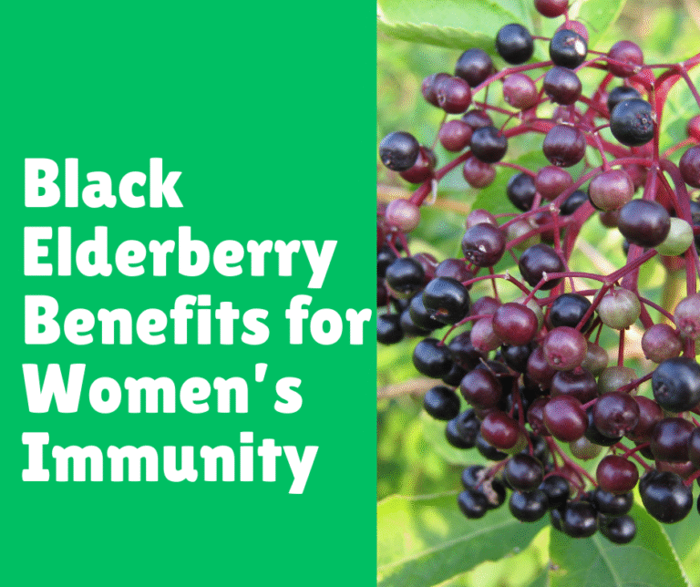 Black Elderberry Benefits for Women’s Immunity
