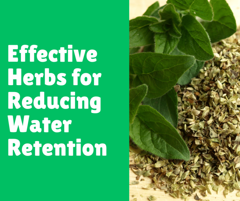 Effective Herbs for Reducing Water Retention