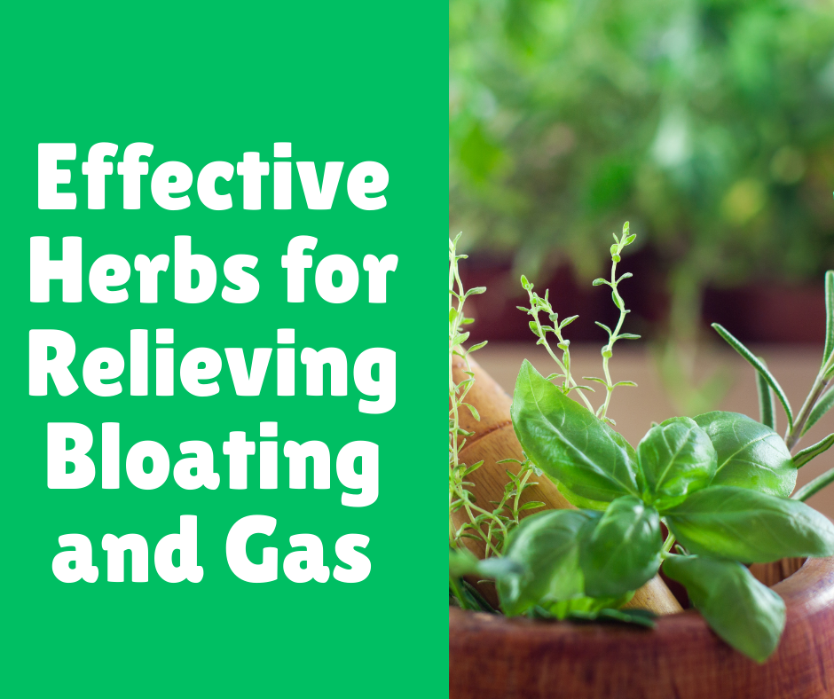 Effective Herbs for Relieving Bloating and Gas