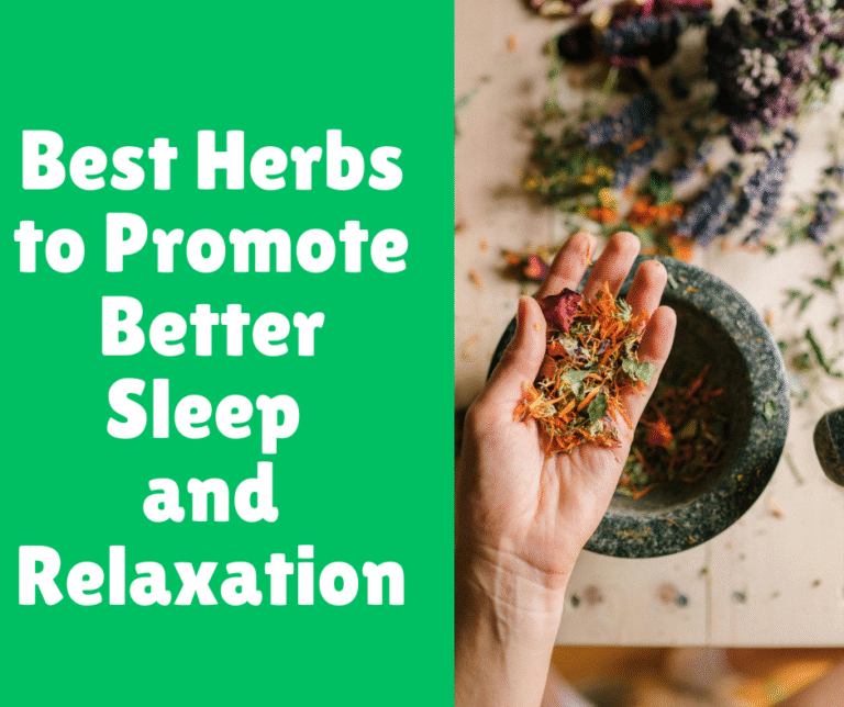 Effective Herbs for Soothing Itchy Skin Naturally