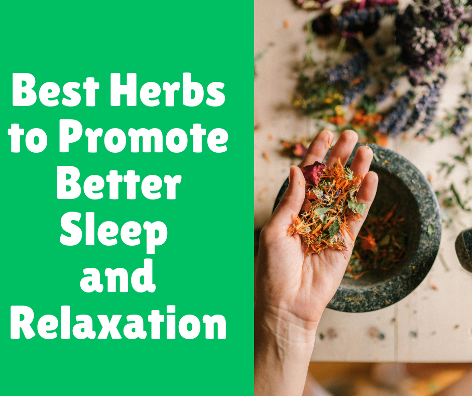 Effective Herbs for Soothing Itchy Skin Naturally