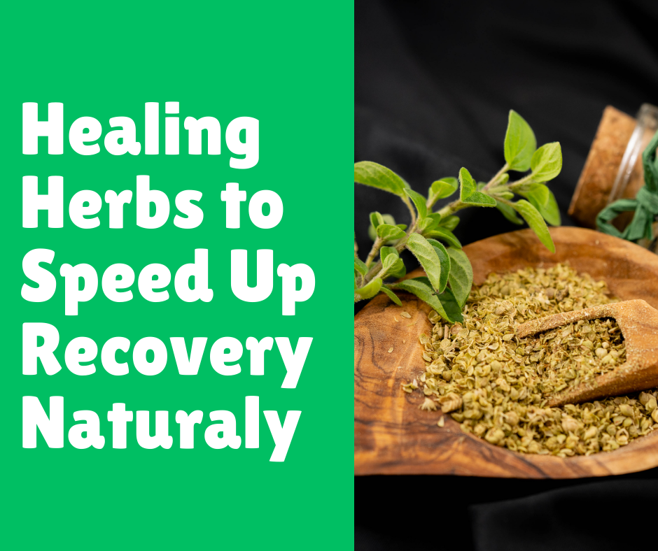 Healing Herbs to Speed Up Recovery Naturally
