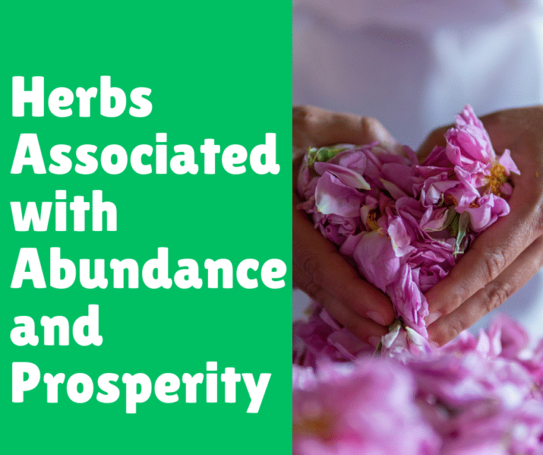 Herbs Associated with Abundance and Prosperity