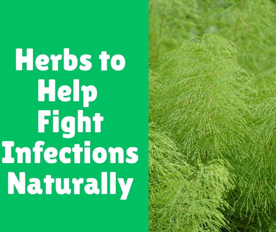 Herbs to Help Fight Infections Naturally