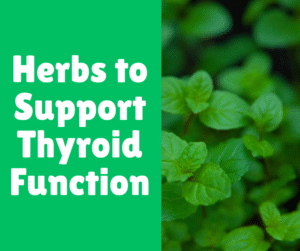 Read more about the article Herbs to Support Thyroid Function