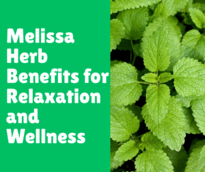 Read more about the article Melissa Herb Benefits for Relaxation and Wellness