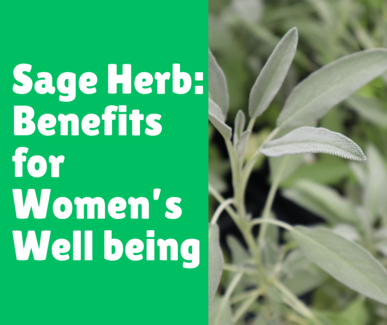 Sage Herb: Benefits for Women’s Well-being