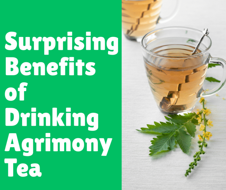Surprising Benefits of Drinking Agrimony Tea