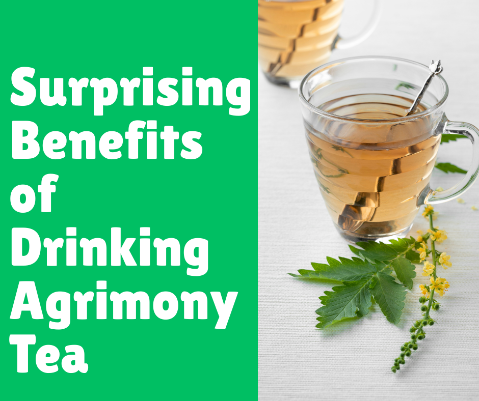 Surprising Benefits of Drinking Agrimony Tea