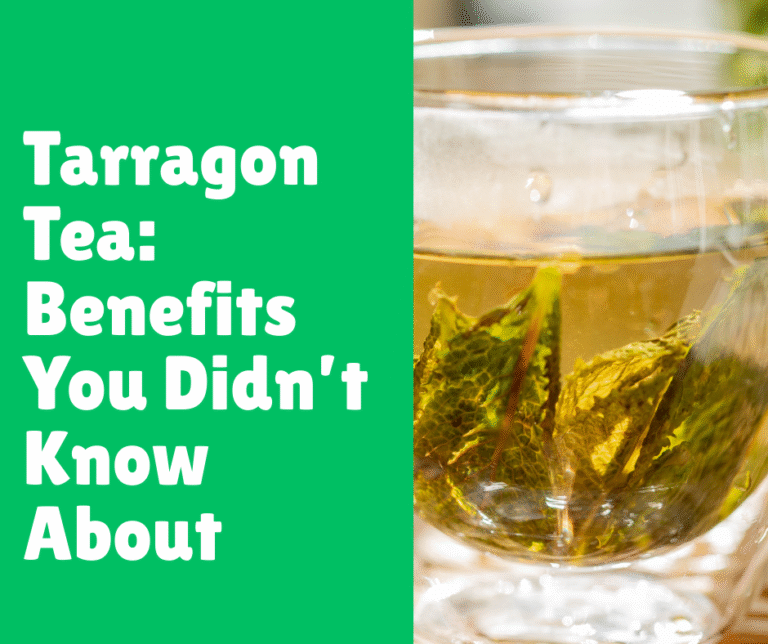Tarragon Tea: Benefits You Didn’t Know About