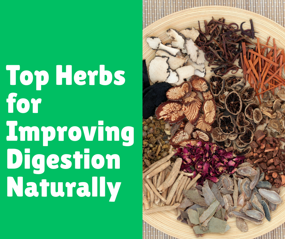 Top Herbs for Improving Digestion Naturally