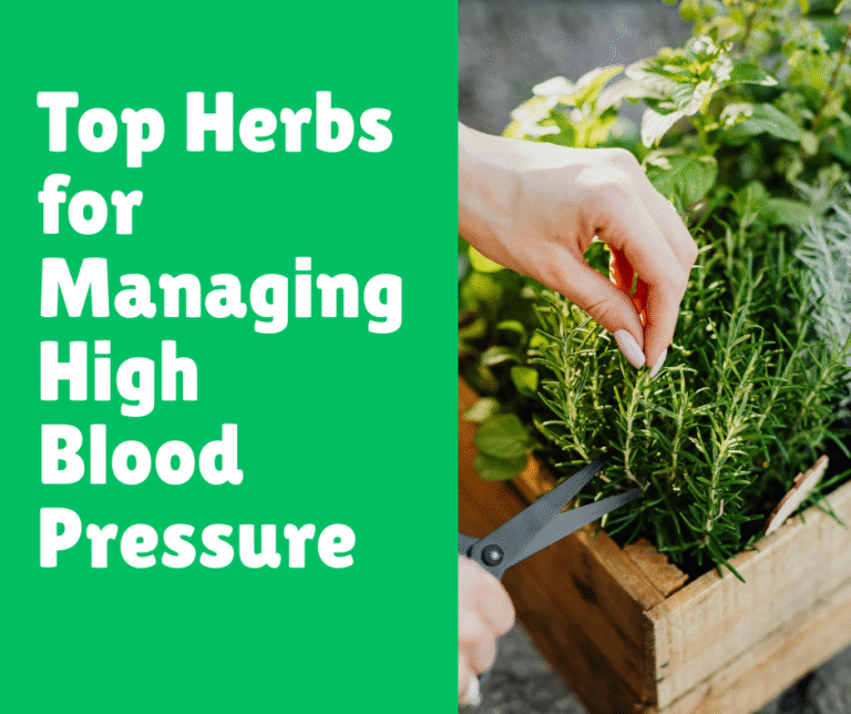 Top Herbs for Managing High Blood Pressure