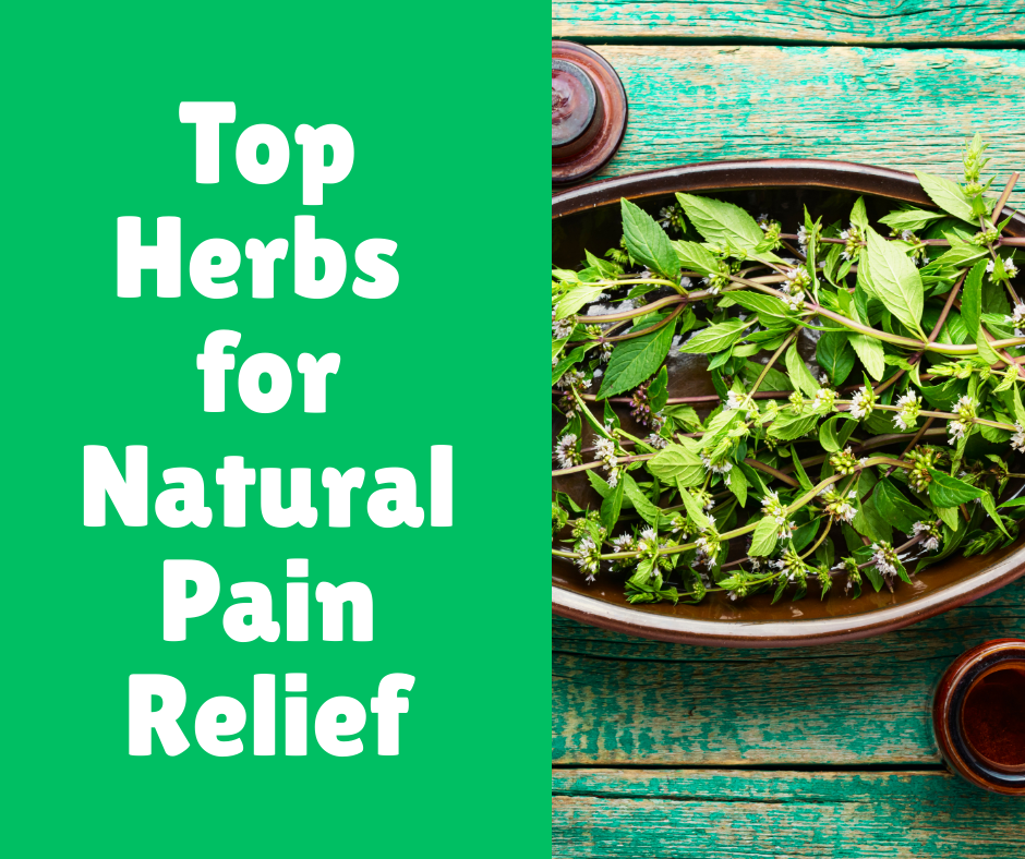 Top Herbs for Natural Pain Relief