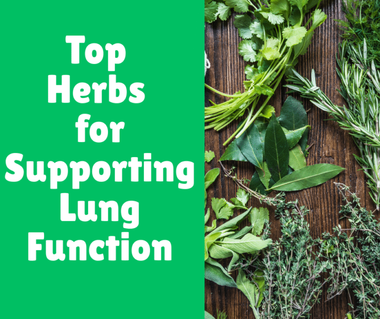 Top Herbs for Supporting Lung Function