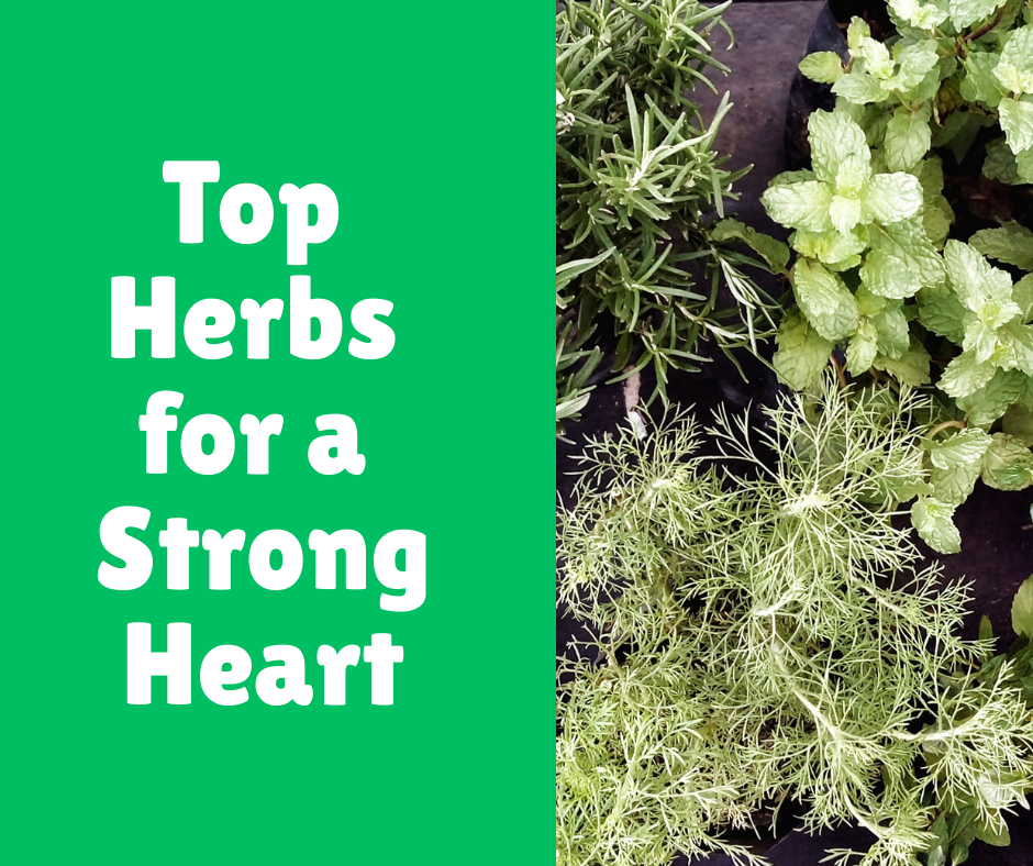 Top Herbs for a Strong Heart