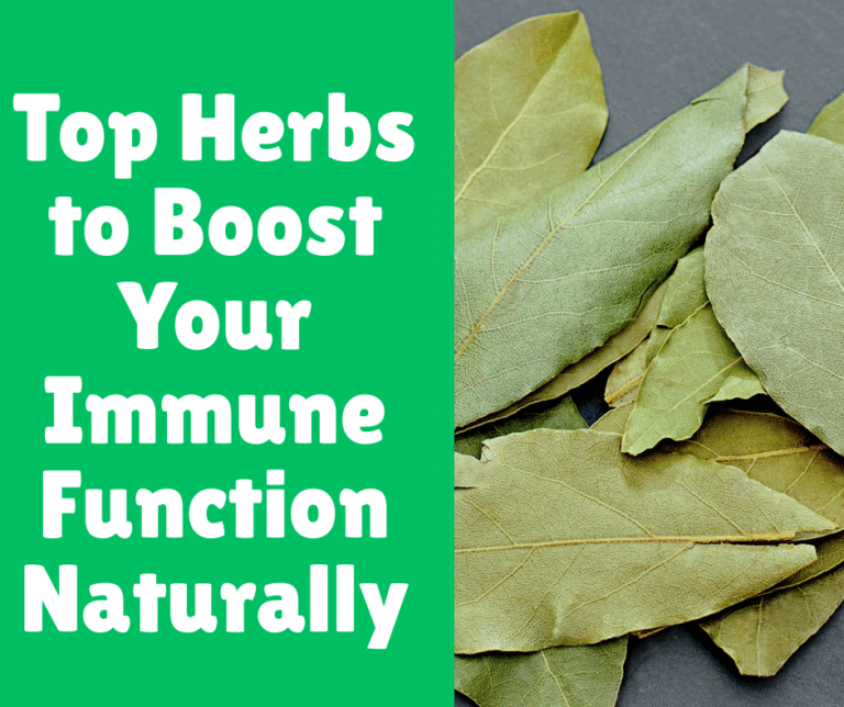 Top Herbs to Boost Your Immune Function Naturally