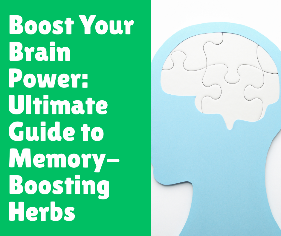 Boost Your Brain Power: Ultimate Guide to Memory-Boosting Herbs