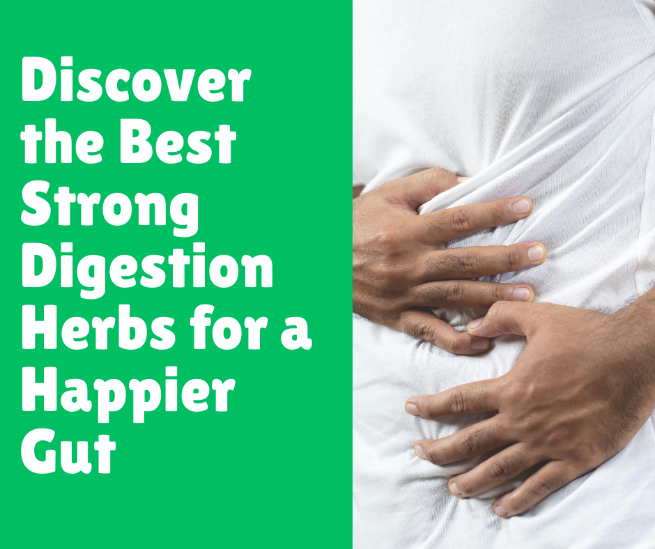 Discover the Best Strong Digestion Herbs for a Happier Gut