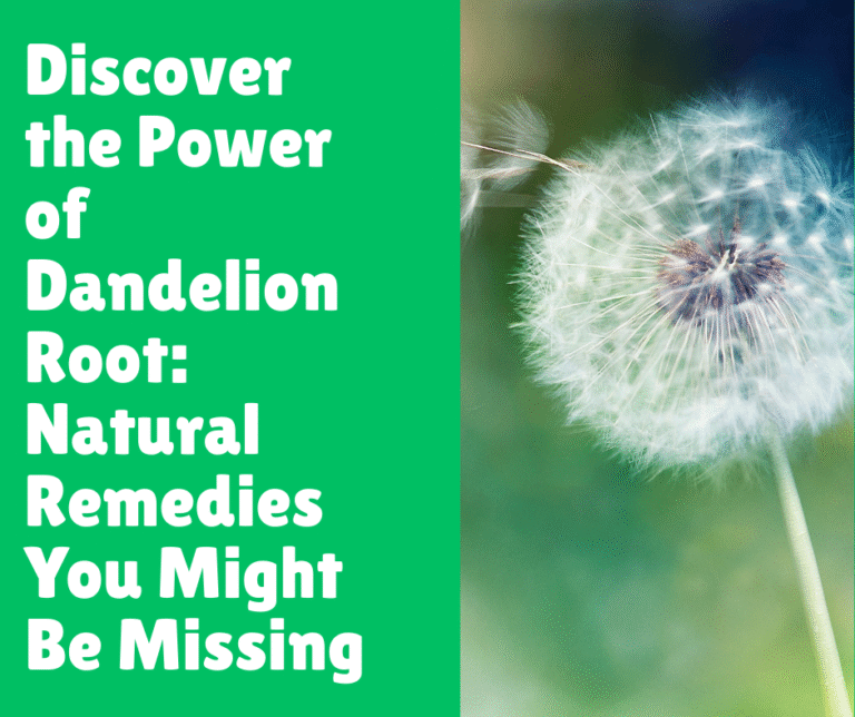 Discover the Power of Dandelion Root: Natural Remedies You Might Be Missing