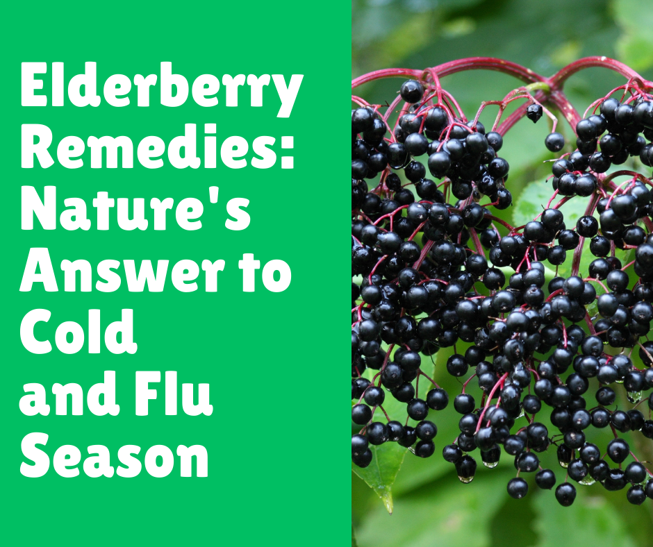 Elderberry Remedies: Nature's Answer to Cold and Flu Season