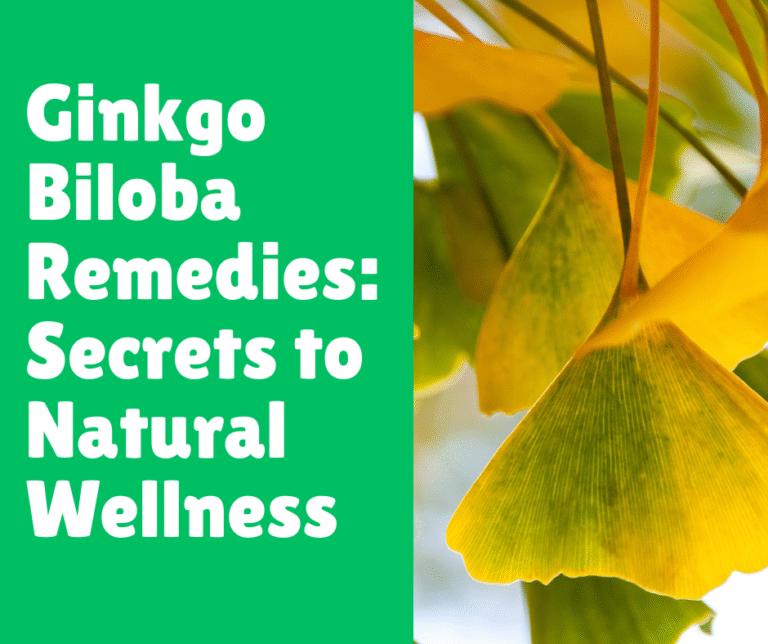 Ginkgo Biloba Remedies_ Secrets to Natural Wellness