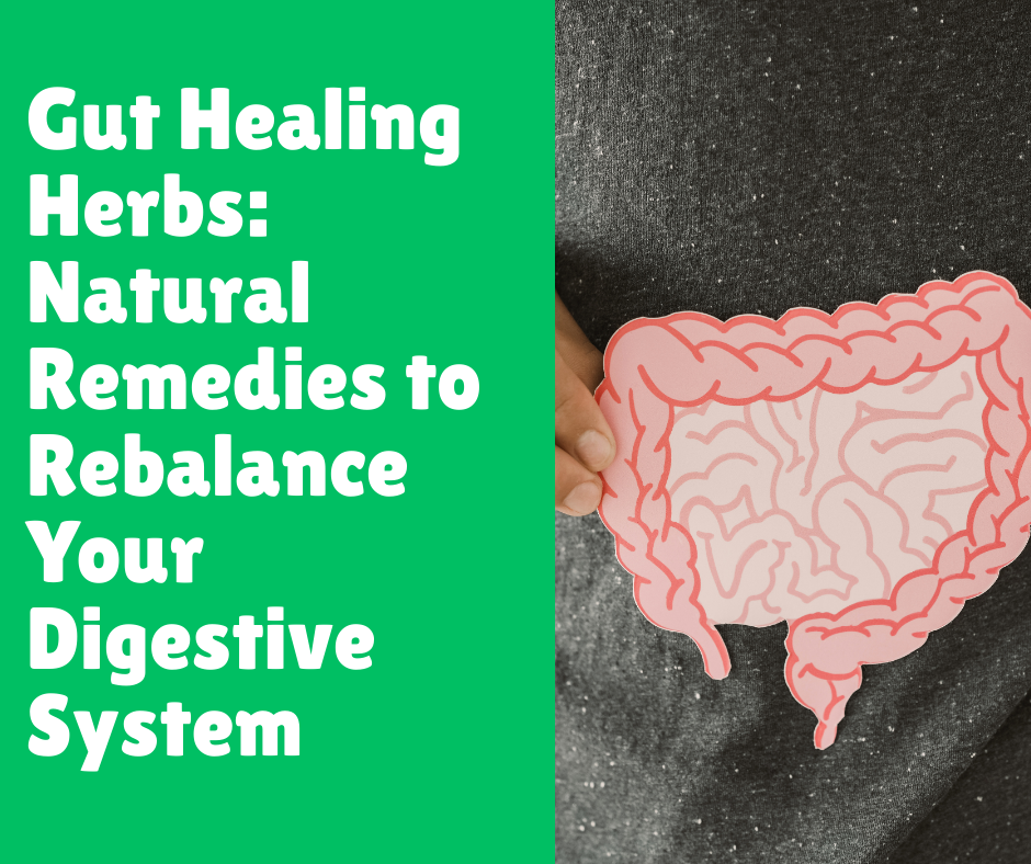 Gut Healing Herbs: Natural Remedies to Rebalance Your Digestive System