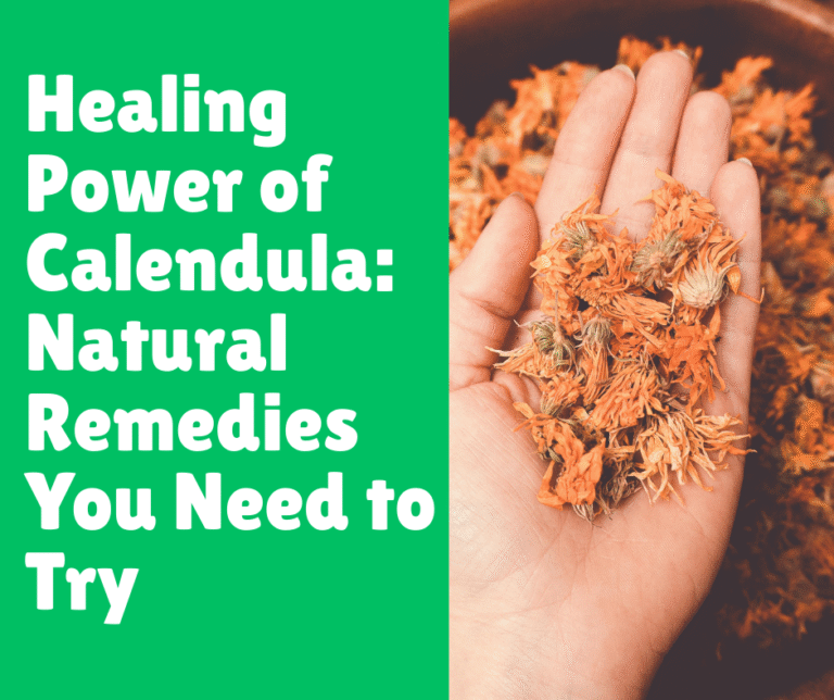 Healing Power of Calendula_ Natural Remedies You Need to Try
