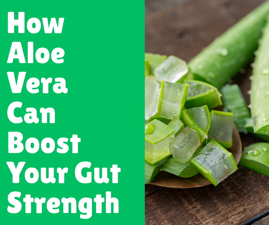 How Aloe Vera Can Boost Your Gut Strength