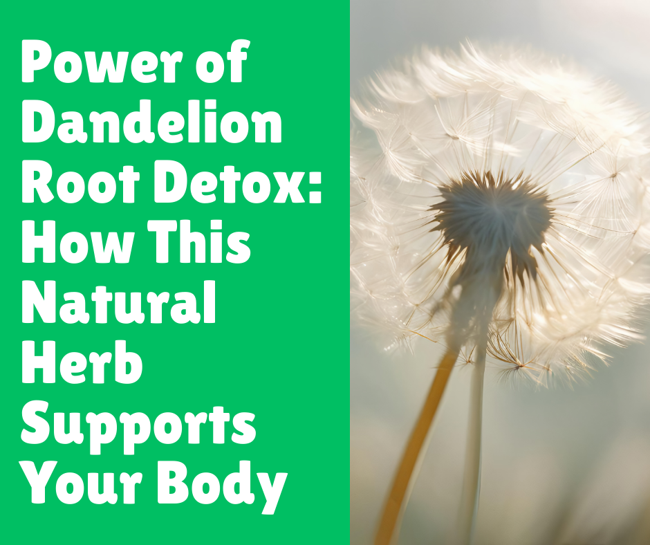 Power of Dandelion Root Detox_ How This Natural Herb Supports Your Body