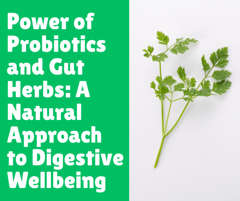 Power of Probiotics and Gut Herbs: A Natural Approach to Digestive Wellbeing