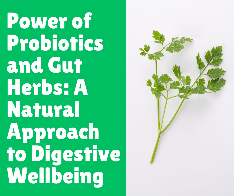 Power of Probiotics and Gut Herbs: A Natural Approach to Digestive Wellbeing