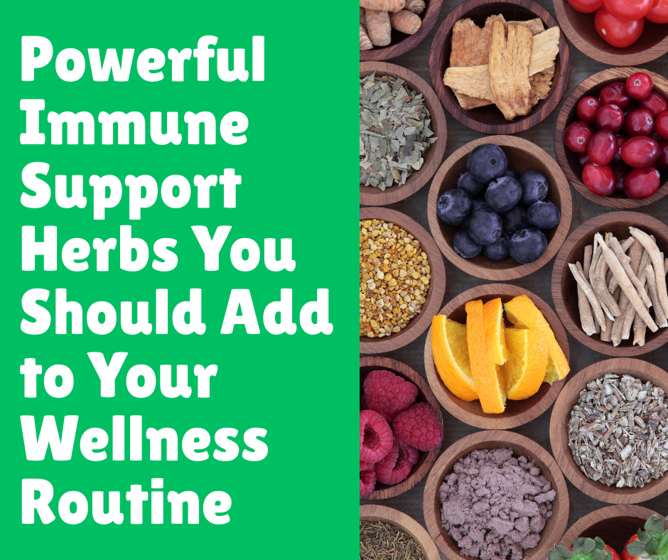 10 Powerful Immune Support Herbs You Should Add to Your Wellness Routine