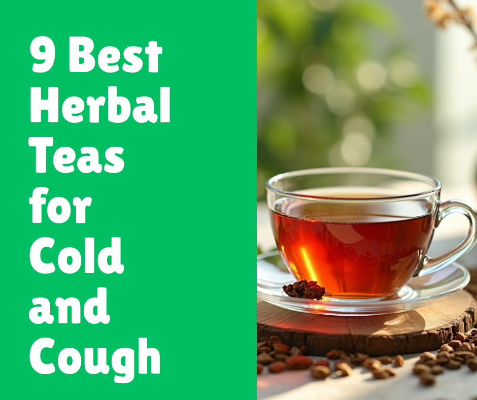 9 Best Herbal Teas for Cold and Cough