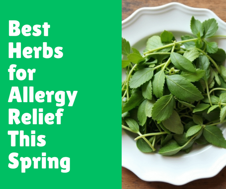 Best Herbs for Allergy Relief This Spring