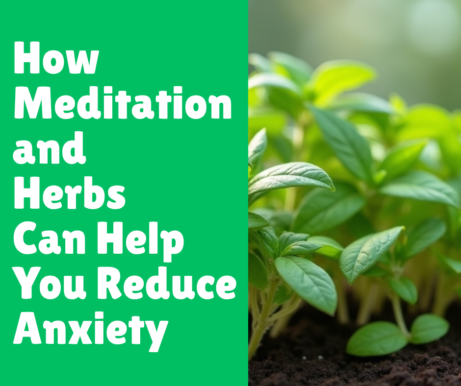 How Meditation and Herbs Can Help You Reduce Anxiety