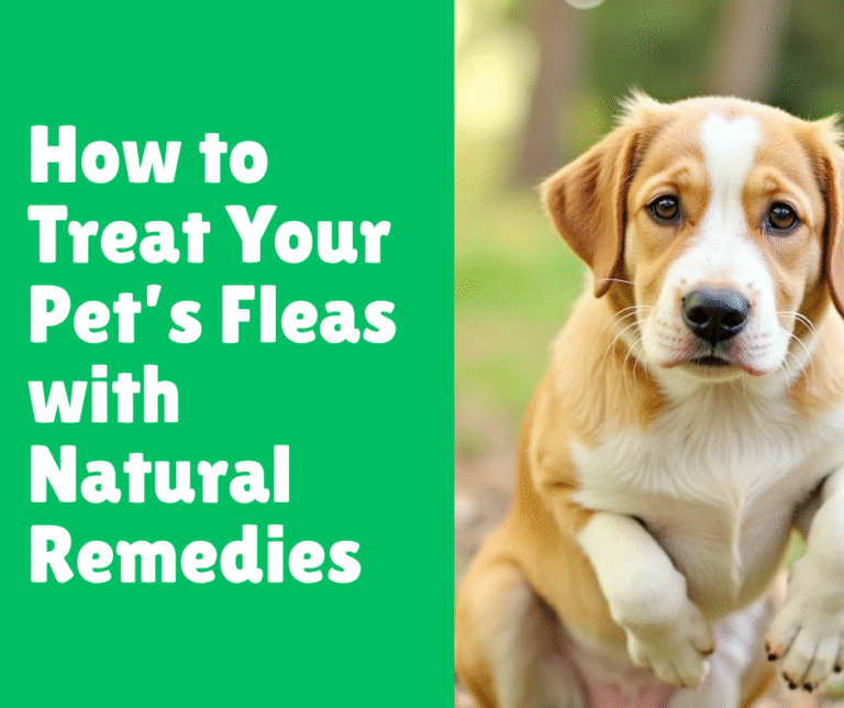 How to Treat Your Pet’s Fleas with Natural Remedies