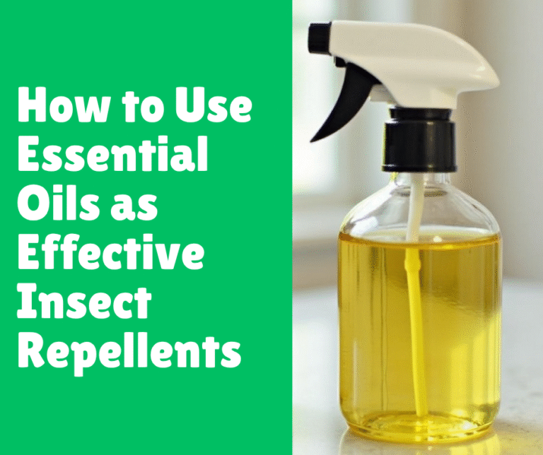 How to Use Essential Oils as Effective Insect Repellents