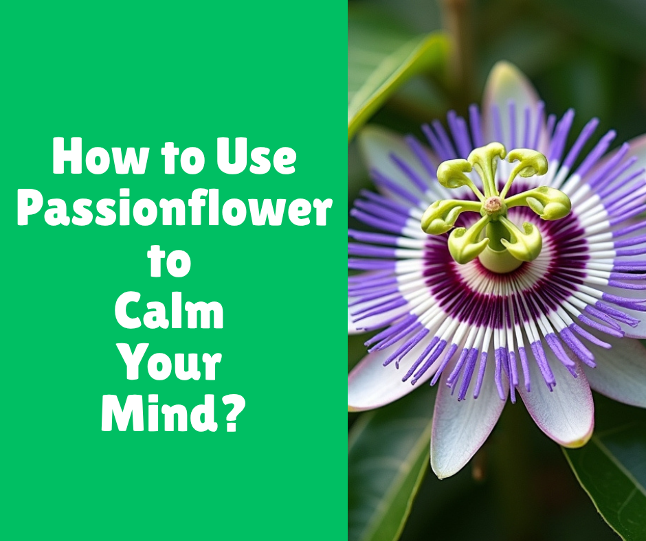 How to Use Passionflower to Calm Your Mind